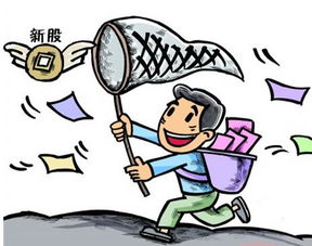 君禾股份(603617)中簽號(hào)查詢(xún)及進(jìn)出口業(yè)務(wù)解析